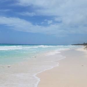 Meet your Posher, Marnie